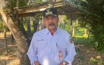 PJ Tanah Laut : Pak Jokowi Berhasil Menekan Inflasi Menjadi Salah Satu Yang Terendah se Asean.