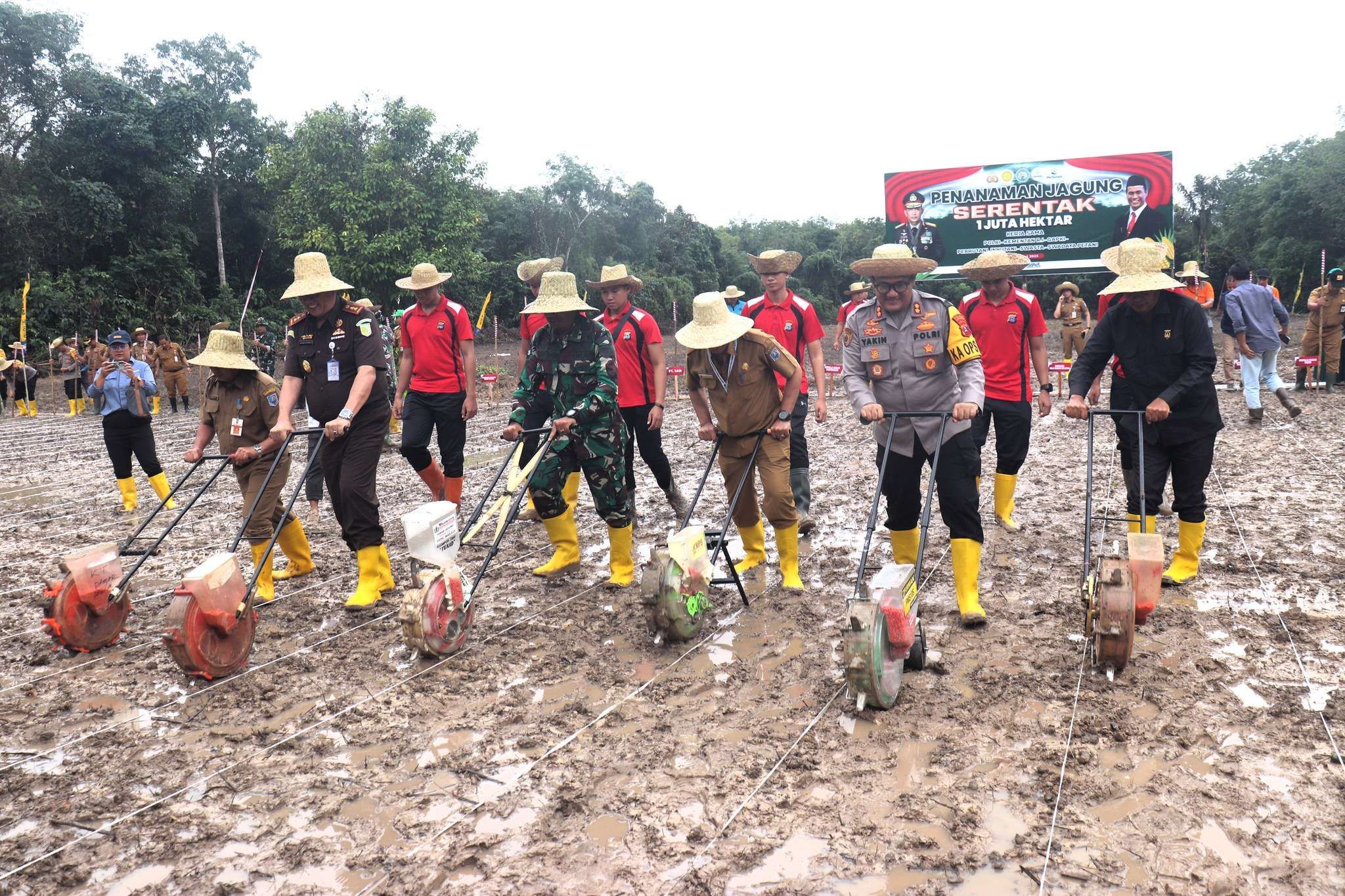 Upaya Mendukung Program Pemerintah Dengan Penanaman Bibit Jagung 1 Juta Hektare di Kabupaten Hulu Sungai Selatan