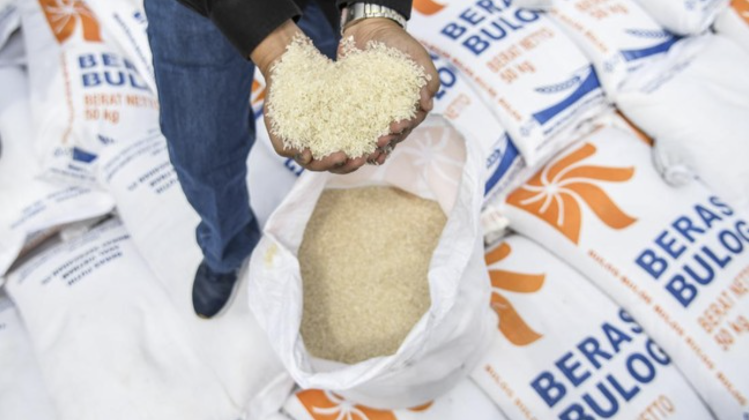 Serapan Gabah Petani di Kalsel Hampir 100%, Bulog Perkuat Kedaulatan Pangan Daerah