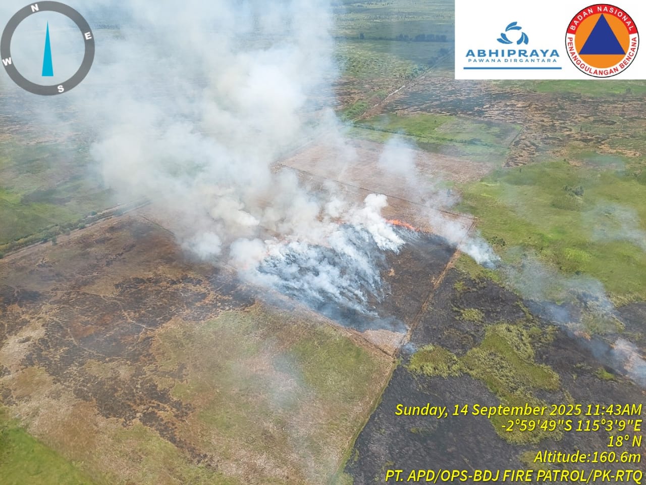 Karhutla Kalsel 2025: 915 Hektare Lahan Terbakar, BPBD Sebut Angka Menurun Signifikan